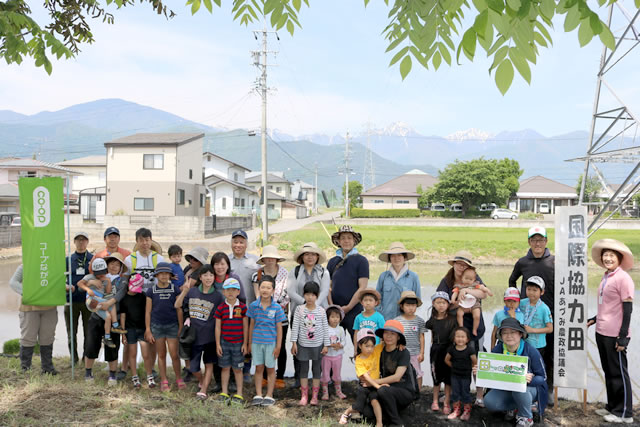 国際協力田で組合員家族が田植えをしている様子